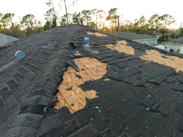 Best Asphalt Shingle Roofing  in Perry, FL