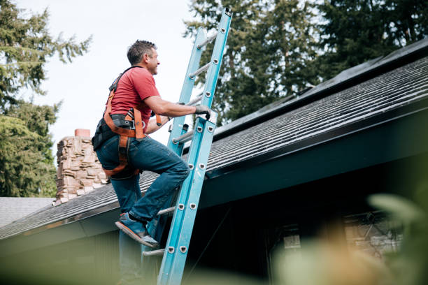 Best Cold Roofs  in Perry, FL